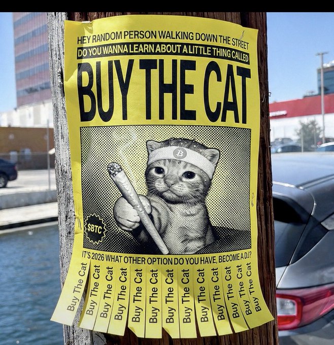 A yellow flyer on a wooden pole featuring a cat holding a bat with the text 'HEY RANDOM PERSON WALKING DOWN THE STREET DO YOU WANNA LEARN ABOUT A LITTLE THING CALLED BUY THE CAT', 'IT'S 2026 WHAT OTHER OPTION DO YOU HAVE, BECOME A DJ?', and 'SBTC' logo, with tear-off tabs at the bottom reading 'Buy The Cat'.