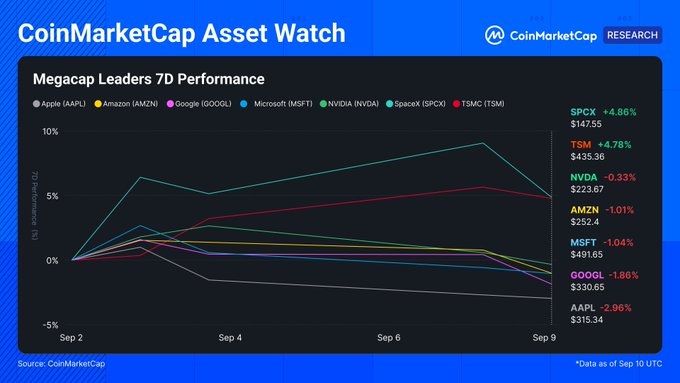 A CoinMarketCap line chart titled 'Megacap Leaders 7D Performance' showing 7-day performance for major stocks including SPCX (+4.86%), TSM (+4.78%), NVDA (-0.33%), and AAPL (-2.96%).