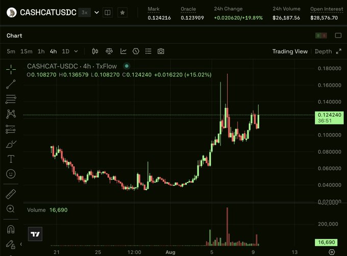 A candlestick chart on TradingView shows the CASHCAT-USDC perpetual futures pair up 15.02% on a 4-hour timeframe, with a current price around $0.1082, marked price $0.1242, and 24-hour volume over $26K.