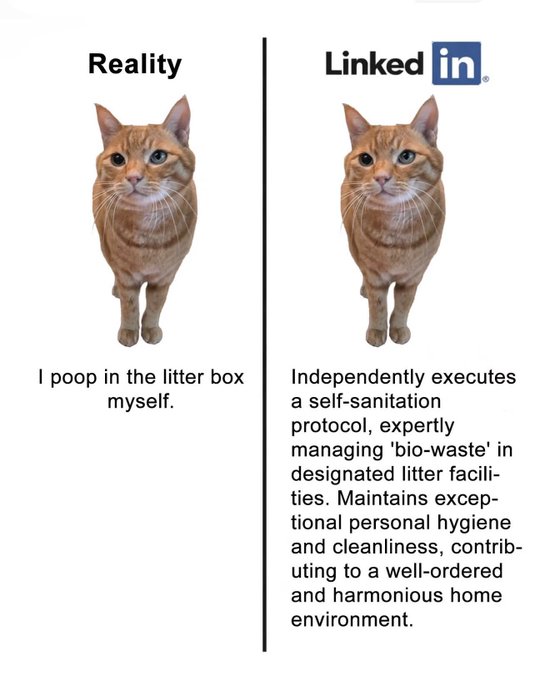 A 'Reality vs LinkedIn' meme comparing the same cat photo, with 'Reality' stating 'I poop in the litter box myself' and 'LinkedIn' describing it as independently executing a self-sanitation protocol.