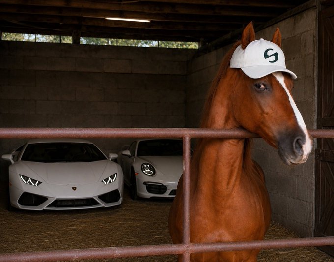 A surreal photo showing a chestnut horse wearing a white cap with an 'S' logo standing in a stable, with two white luxury sports cars (a Lamborghini and Porsche) parked behind it.