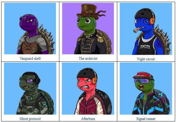 A grid of six cartoon turtle character avatars with names including 'Vanguard shell', 'The archivist', 'Night circuit', 'Ghost protocol', 'Afterburn', and 'Signal runner'.