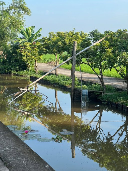 A wooden pole with a makeshift net leans over a still canal, its reflection mirrored in the water beside a pink lily, illustrating the gap between a simple idea and the concrete infrastructure needed to turn it into reality. The tranquil scene, framed by lush greenery and a clear sky, echoes the post’s note that many blockchain concepts remain unrealized because the distance between theory and practical infrastructure is too great.