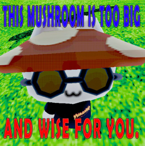 A meme image of a character wearing a large mushroom hat and sunglasses, with text reading 'THIS MUSHROOM IS TOO BIG' in blue and 'AND WISE FOR YOU.' in red.