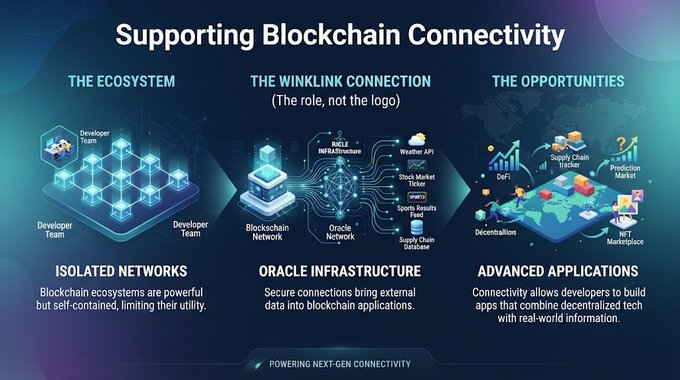 An infographic titled 'Supporting Blockchain Connectivity' explaining the Winklink ecosystem with sections on Isolated Networks, Oracle Infrastructure, and Advanced Applications including DeFi, NFT Marketplace, and Prediction Market.