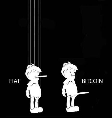 A Pinocchio-style meme showing two puppets labeled 'FIAT' and 'BITCOIN', with the Bitcoin puppet notably longer-nosed.