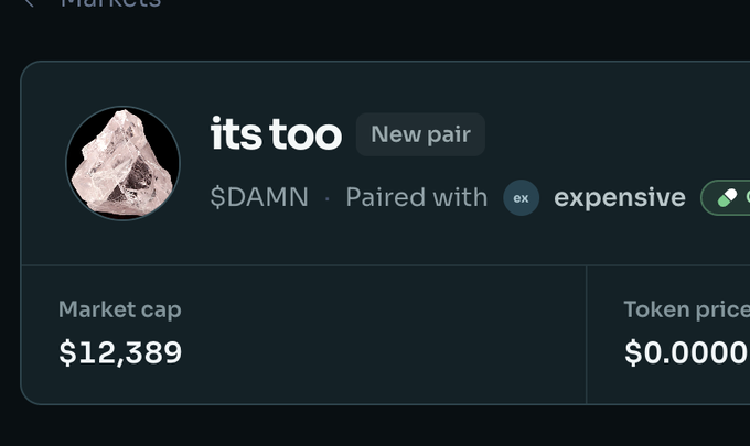 The image shows a crypto token listing page for "its too damn" (ticker $DAMN), a newly created pair on a meme coin platform, displaying a market cap of $12,389 and a token price of $0.0000. The user created this token as a humorous response to another coin called "you cant afford this coin," using token tickers to form a sentence across paired assets.