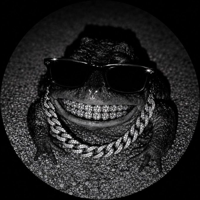A black-and-white image of a smiling frog wearing sunglasses and a diamond-encrusted chain, fitting the "$BlingFrog" theme as a flashy, bling-themed Solana meme coin mascot. The contract address "3GytxqwiiKFSsggYWXvJfSWgwmEr58wyioNsioaupump" is not visible in the image.