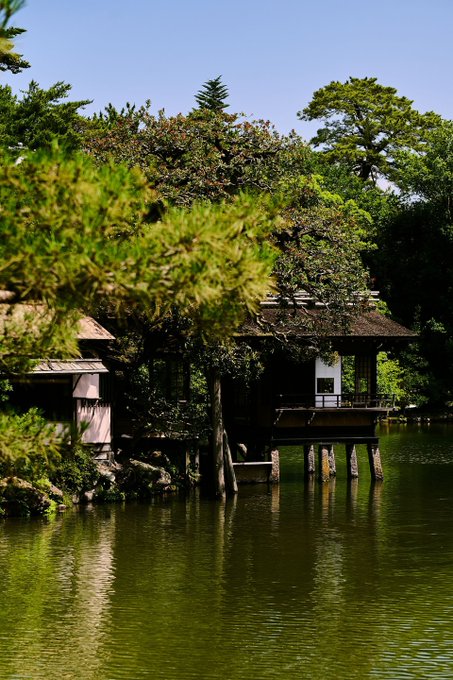 A serene Japanese garden featuring a traditional wooden pavilion with a thatched roof perched over a tranquil pond, surrounded by lush green pine trees.