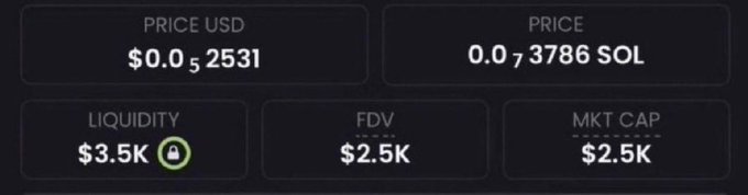 A cryptocurrency price panel showing PRICE USD $0.0(5)2531, PRICE 0.0(7)3786 SOL, LIQUIDITY $3.5K (locked), FDV $2.5K, and MKT CAP $2.5K.