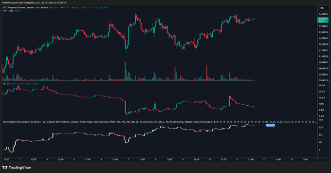 A TradingView chart showing BTC Perpetual Futures price action with multiple indicators including Open Interest and Net Positions, displaying candlestick patterns in red and green on a dark background.