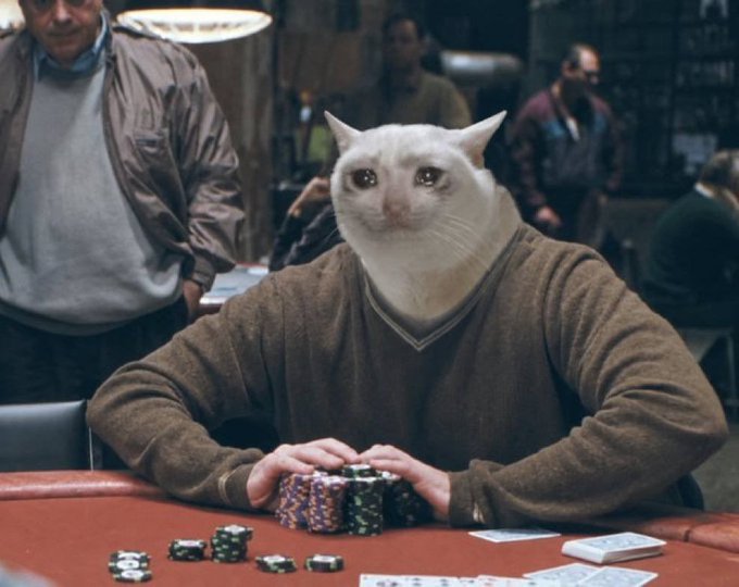 A white cat dressed in a brown cardigan sits at a poker table with stacks of chips and playing cards in front of it. The image humorously personifies the post's discussion of meme stocks and crypto tokens, with the "cat at the table" serving as a visual pun for the various cat-themed tickers ($PONS, $HMM, $CASHCAT) the poster is tracking on the "Robinhood Chain."