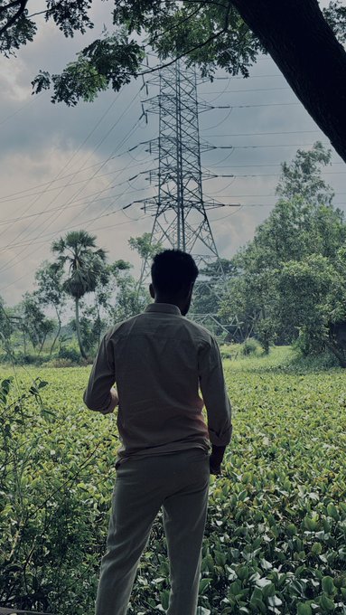 A man stands in a tea field viewed from behind, looking up at a tall electrical transmission tower with palm trees in the background.