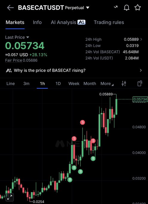 A Binance perpetual futures chart shows BASECATUSDT at $0.05734, up 28.13% in 24 hours, with the price surging from a low of $0.0254 to a high of $0.05889, visually confirming the "super pumpy" upward momentum described in the post.