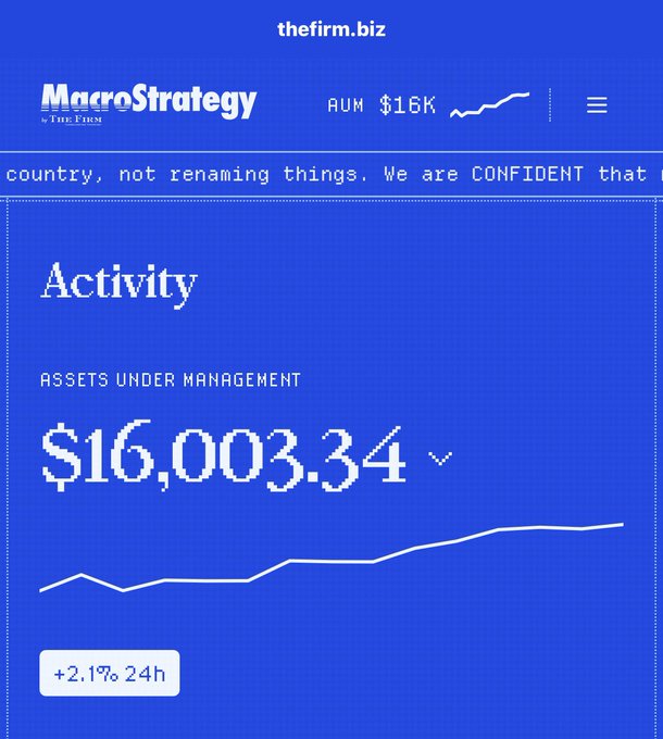 A blue-themed website screenshot for 'thefirm.biz' titled 'MacroStrategy' showing Assets Under Management of $16,003.34 with a +2.19% 24h change and a line graph trending upward.