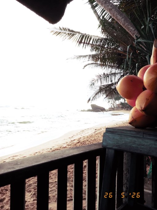 A beach scene viewed from a wooden deck with a date stamp '26 5 '26' in the lower right, showing ocean waves, palm trees, a boat in the distance, and a bunch of coconuts in the foreground.
