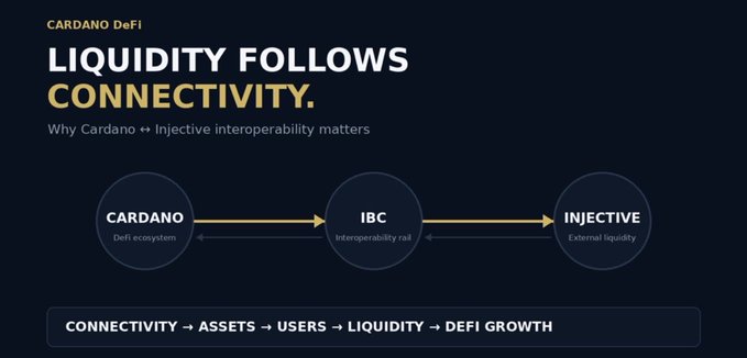 A Cardano DeFi graphic titled 'LIQUIDITY FOLLOWS CONNECTIVITY' illustrating Cardano ↔ IBC ↔ Injective interoperability, with the chain shown as Cardano DeFi ecosystem, IBC as interoperability rail, and Injective as external liquidity.