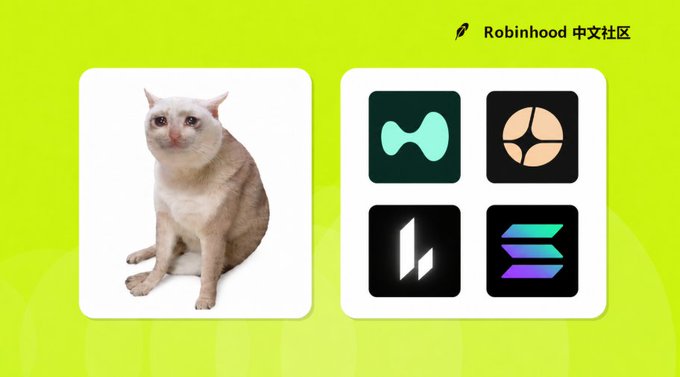 A cream-colored cat sits next to four cryptocurrency platform logos (Hyperliquid, Lighter, Aster, and Solana), with the "Robinhood 中文社区" header in the top right, visually representing the post's announcement of their "$cashcat" expanding to these four trading platforms.