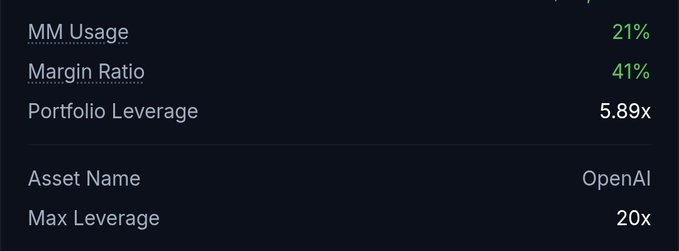 A dark-themed financial dashboard displays trading metrics: MM Usage at 21%, Margin Ratio at 41%, and Portfolio Leverage at 5.89x, with the asset listed as OpenAI having a max leverage of 20x.