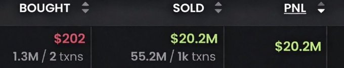 The image displays trading statistics showing a Turkish trader who bought $202 (1.3M tokens / 2 transactions) and sold for $20.2M (55.2M / 1k transactions), resulting in a profit/loss (PNL) of $20.2M. This visualizes the incredible memecoin gain referenced in the headline, where a tiny initial investment of $202 was turned into a $20.2 million payout through a single, massively successful trade.