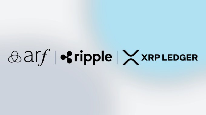 The image shows the logos of **Arf**, **Ripple**, and **XRP Ledger**, separated by vertical lines, illustrating the partnership supporting settlement liquidity on the XRP Ledger using **RLUSD**.