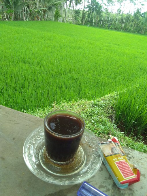 A glass of dark coffee on a glass saucer sits on a concrete ledge overlooking a lush green rice paddy field, with a pack of cigarettes placed beside it.