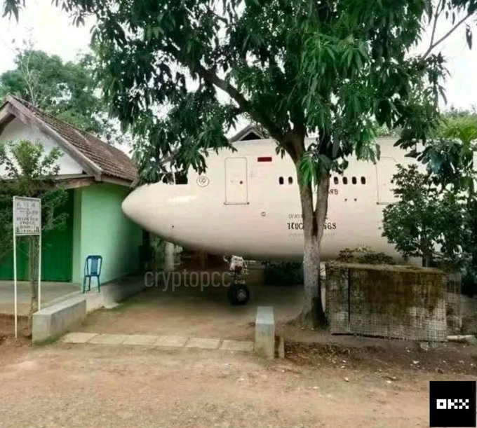A decommissioned white airplane fuselage serves as a novel structure, positioned on a sandy lot beside a small green building and beneath a large tree.