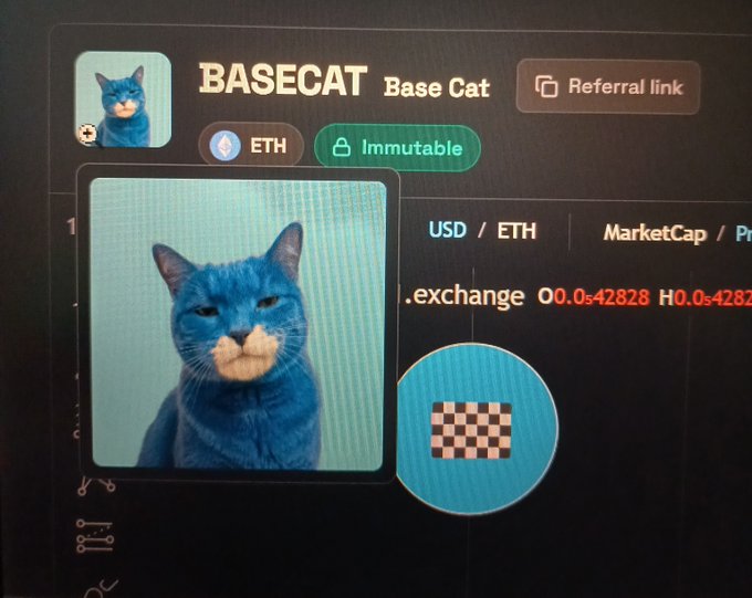 A token page for 'BASECAT' (Base Cat) on the ETH and Immutable networks, showing a blue cat image and market data including '.exchange O0.0s42828 H0.0s42828'.