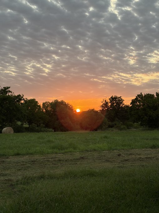 A scenic photograph of a sunset over a grassy field and a line of trees, with the sun low on the horizon and scattered clouds catching the warm orange light in the sky above.