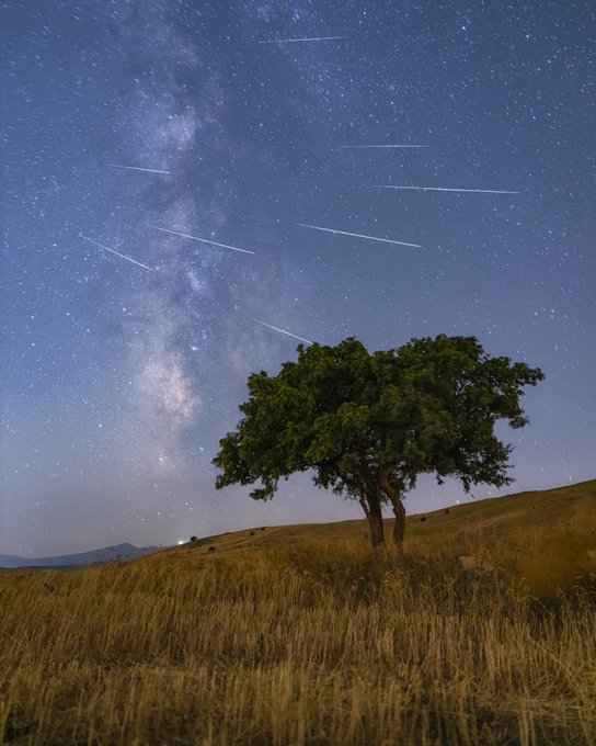 A nighttime landscape photograph showing a lone tree on a grassy hillside beneath a starry sky with the Milky Way and visible meteor or satellite streaks.