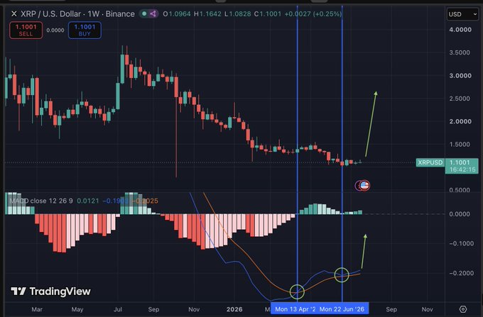 This is a weekly XRP/USD chart from TradingView, showing price action and a MACD indicator, with a green arrow suggesting a potential upward trend. The MACD line is currently above its signal line and appears to be curling upwards, indicating a bullish momentum.