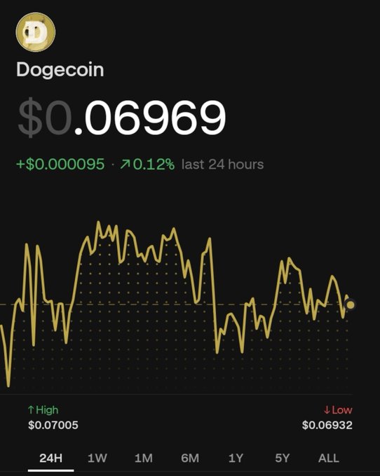 A cryptocurrency trading chart for Dogecoin showing a price of $0.06969, up 0.12% (+$0.000095) in the last 24 hours, with a 24H high of $0.07005 and low of $0.06932.