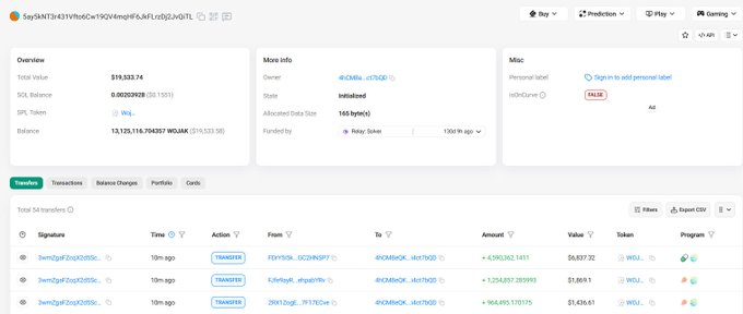 A blockchain explorer page for a Solana wallet address (SaySMT3x63VYtoSCwT9QV4zm9PfsJ6FLctDi2jvqTL) showing a balance of 13,125,116.704267 WGM with transaction history.