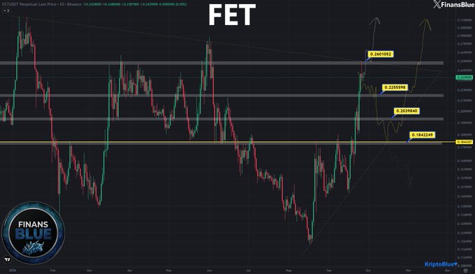A cryptocurrency price chart for FET/USDT on Binance from FinansBlue showing various price levels including 0.2455962, 0.2253498, 0.2039840, and 0.1843249, with the current price highlighted.