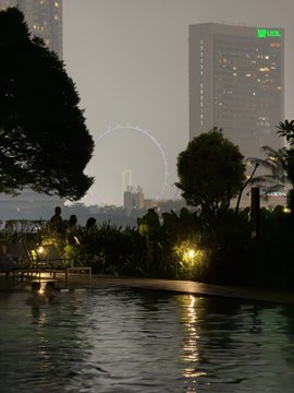A nighttime view of a city skyline featuring a tall building and a Ferris wheel in the background, seen from an infinity pool surrounded by tropical plants and palm trees.