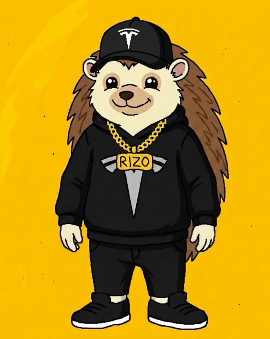 A cartoon hedgehog character wearing a black Tesla cap, a gold chain with a "RIZO" pendant, and a black hoodie against a yellow background.