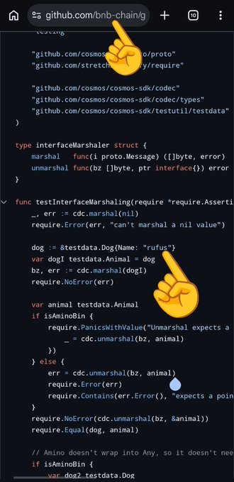 A mobile screenshot of the GitHub repository 'bnb-chain/G' displaying Go code for interface marshaling tests, with finger emoji pointing at the URL bar and a section of the code.