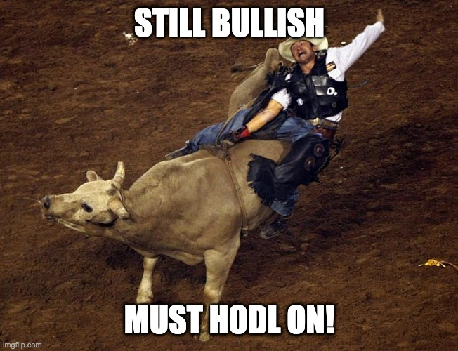 The image features a man riding a bull while wearing cowboy gear. The caption of the image reads "That $FET for you. Dont blink, Dont sell. If you do both, you will miss out on generational gains." This message is related to the image because it encourages people not to overlook opportunities or make hasty decisions in life, just as the man riding the bull should be cautious and thoughtful about his actions while navigating the situation.