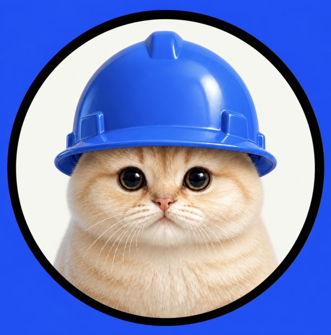 A chubby orange cat wearing a blue construction hard hat inside a circular blue-bordered frame, embodying the "calm before the storm" as the $basecat chad displays unwavering conviction while gearing up for market action.