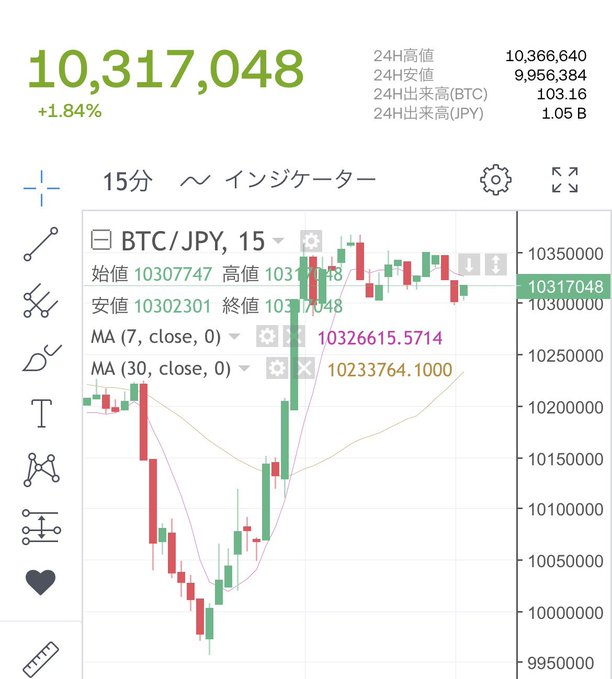 Bitcoin (BTC/JPY) trading chart showing a price of 10,317,048 yen, up 1.84%, with 24-hour high of 10,366,640 and a volatile candlestick pattern.