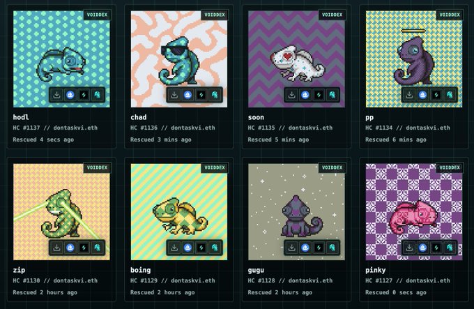 A gallery of pixel art chameleon NFTs with names like 'hodi', 'chad', 'soon', 'pp', 'zip', 'boxing', 'gugu', and 'pinky', each labeled with 'VOIDEX' and 'HC // dontaskvi.eth' along with 'Rescued' timestamps.