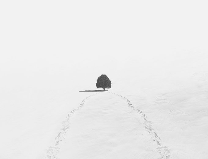 A minimalist black-and-white landscape featuring a single, dark tree standing alone in an expansive field of white snow, with faint tracks leading toward it.