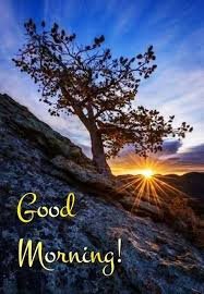 Sunrise scene with a tree on a rocky hillside, featuring the yellow text 'Good Morning!' overlay.