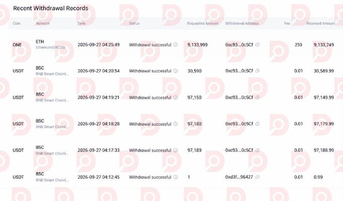 A screenshot of 'Recent Withdrawal Records' showing successful cryptocurrency transactions, including ONE on Ethereum and multiple USDT transactions on BSC, with various requested and received amounts.