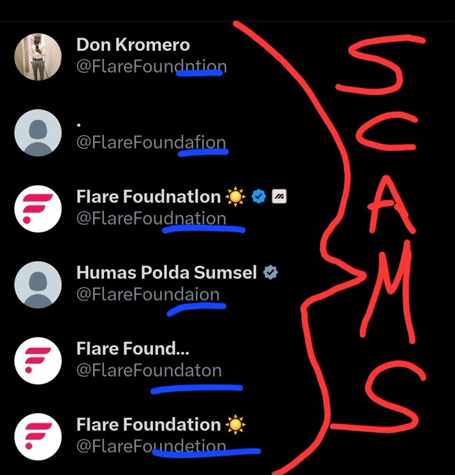 The image shows a message posted on social media from someone named "FlareFoundation", with various people and emails listed as their followers, including @flarefamily foundation, @flarefoundation (with an additional email) and others who seem to be interested in the content of the message. The post includes mentions that there are new comers coming into our ahhhhmazing Flares Family, which suggests a need for vigilance against scammers trying to impersonate by misspelling something important or claiming to offer something they're not.