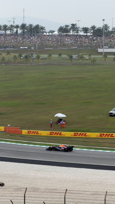 A Formula 1 race car drives along a track lined with DHL sponsor boards, with spectators and palm trees visible in the grassy background.