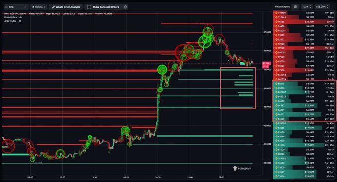 The image displays a BTC/USD order flow analysis chart from CoinGlass, showing significant whale order activity with dense bands of green buy orders clustered between $83,000-$84,500 and red sell orders stacked above near $85,000-$87,000, visually supporting the claim of approximately $100 million in pending buy support in the $84,500-$83,000 price range.