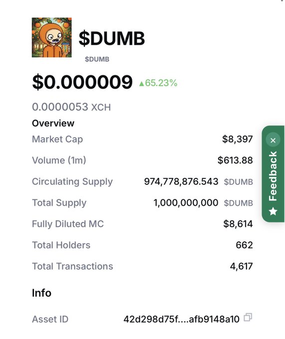 A cryptocurrency info page for the token '$DUMB' showing a price of $0.0000009 with a 65.23% increase, a market cap of $8,397, and 974,778,876.543 circulating supply.