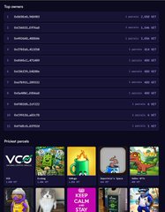 A VCO NFT marketplace page displaying top owners and priced person NFTs.