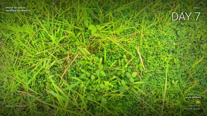 An overhead view of a lawn with text overlays reading 'PROOF OF GRASS verified outdoors', 'DAY 7', 'STRIKE! 500 YDS', 'TOP 10% grass touchers', and 'CERTIFIED BY touch grass RATE OF GERMINATION'.